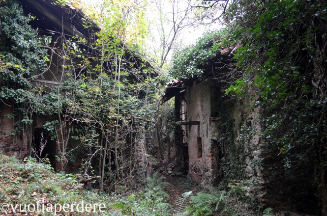 JPEG Image (20033233)