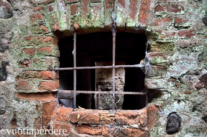 JPEG Image (32253739)